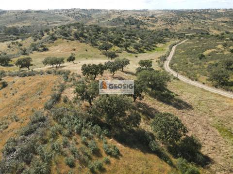 Herdade T3 Venda em Almodôvar e Graça dos Padrões,Almodôvar