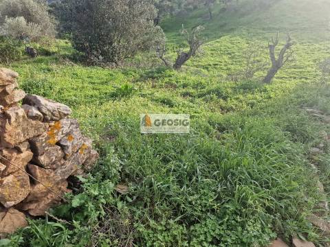 Moradia para Restaurar T1 Venda em Santa Cruz,Almodôvar