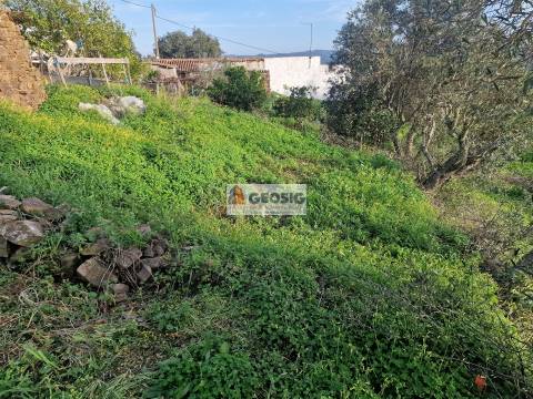 Moradia para Restaurar T1 Venda em Santa Cruz,Almodôvar