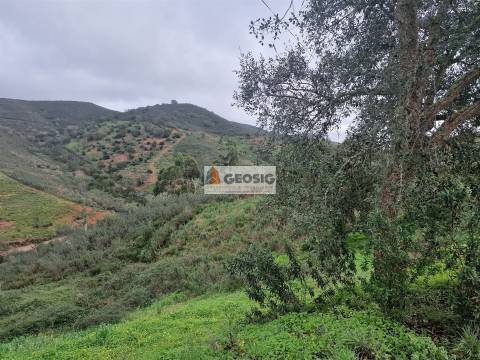 Herdade T4 Venda em Santana da Serra,Ourique