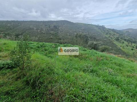 Herdade T4 Venda em Santana da Serra,Ourique