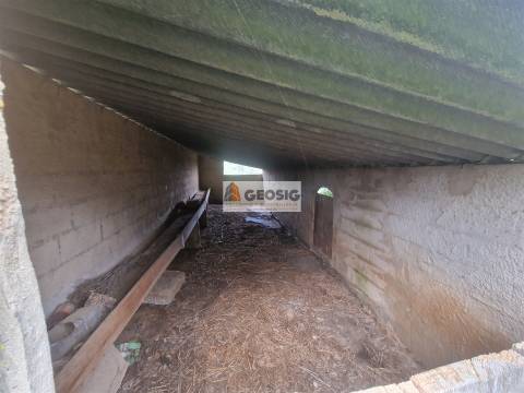 Herdade T4 Venda em Santana da Serra,Ourique