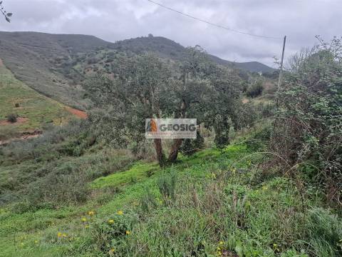 Herdade T4 Venda em Santana da Serra,Ourique
