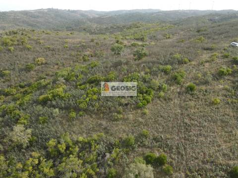 Terreno Rústico  Venda em São Barnabé,Almodôvar