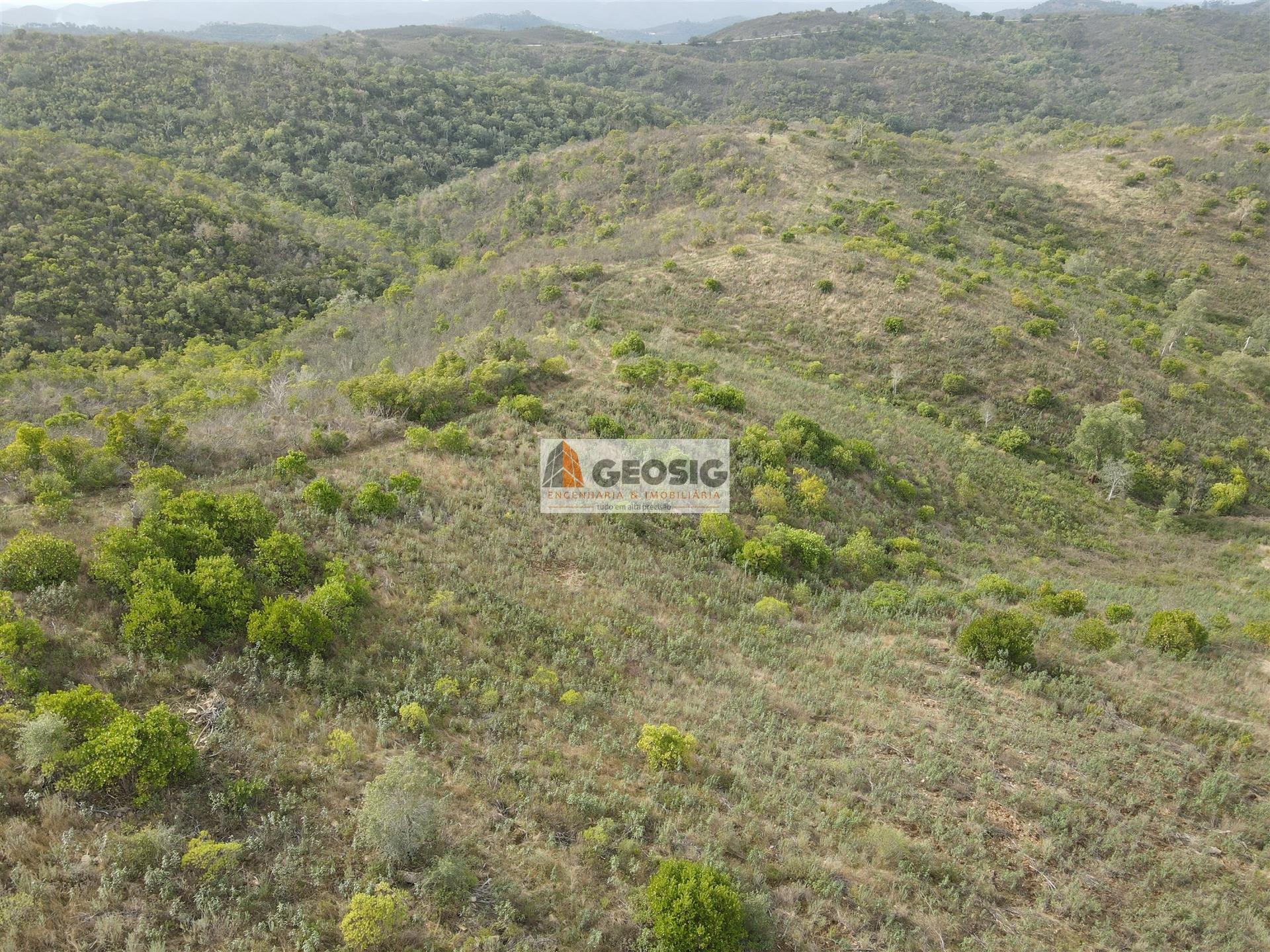 Terreno Rústico  Venda em São Barnabé,Almodôvar