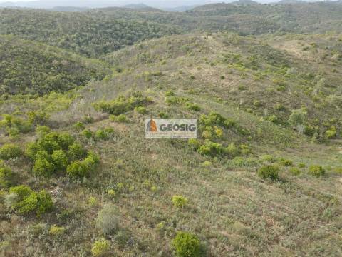 Terreno Rústico  Venda em São Barnabé,Almodôvar