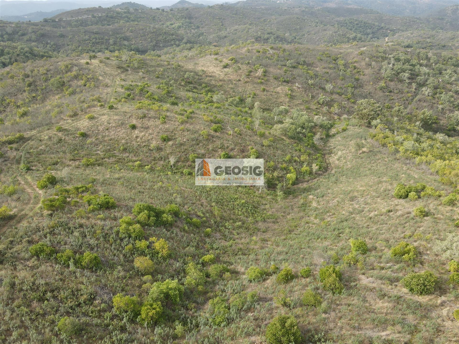 Terreno Rústico  Venda em São Barnabé,Almodôvar