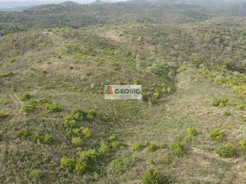 Terreno Rústico  Venda em São Barnabé,Almodôvar