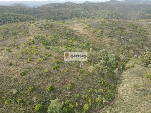Terreno Rústico  Venda em São Barnabé,Almodôvar