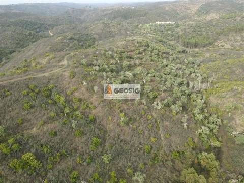 Terreno Rústico  Venda em São Barnabé,Almodôvar