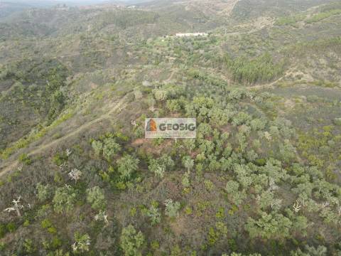 Terreno Rústico  Venda em São Barnabé,Almodôvar