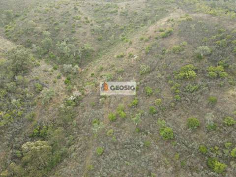 Terreno Rústico  Venda em São Barnabé,Almodôvar