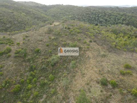 Terreno Rústico  Venda em São Barnabé,Almodôvar