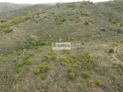 Terreno Rústico  Venda em São Barnabé,Almodôvar