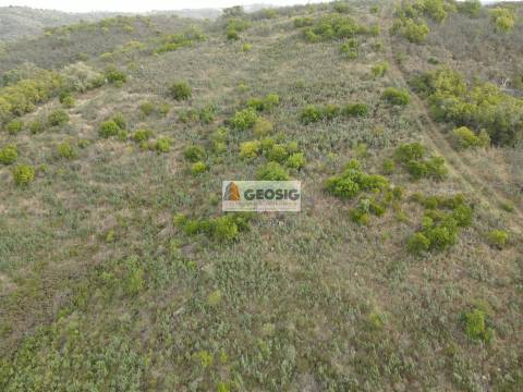 Terreno Rústico  Venda em São Barnabé,Almodôvar