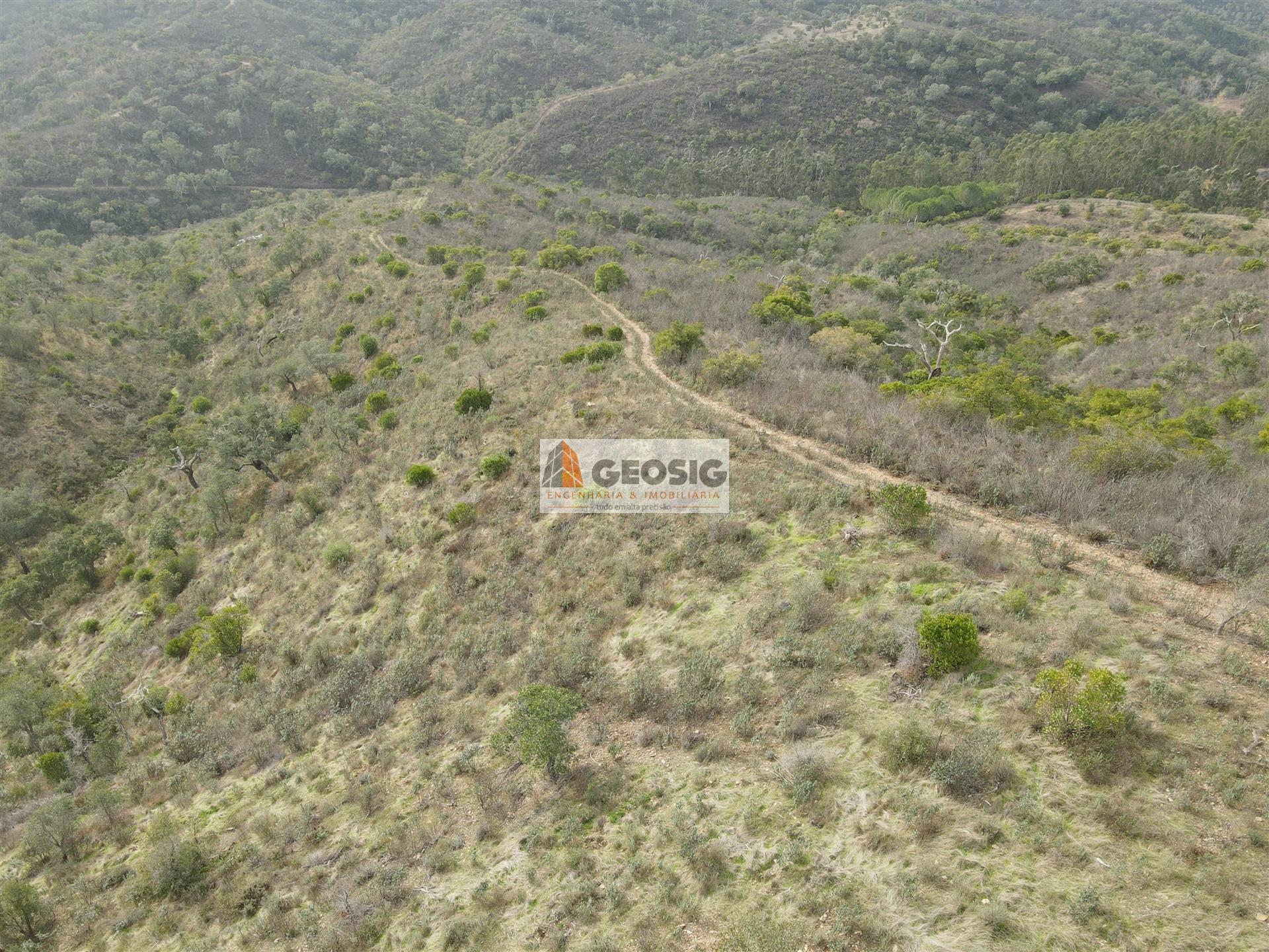 Terreno Rústico  Venda em São Barnabé,Almodôvar