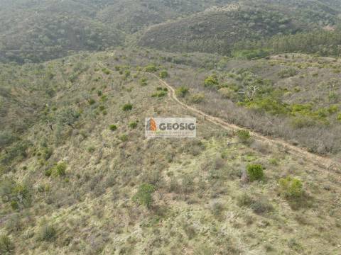 Terreno Rústico  Venda em São Barnabé,Almodôvar