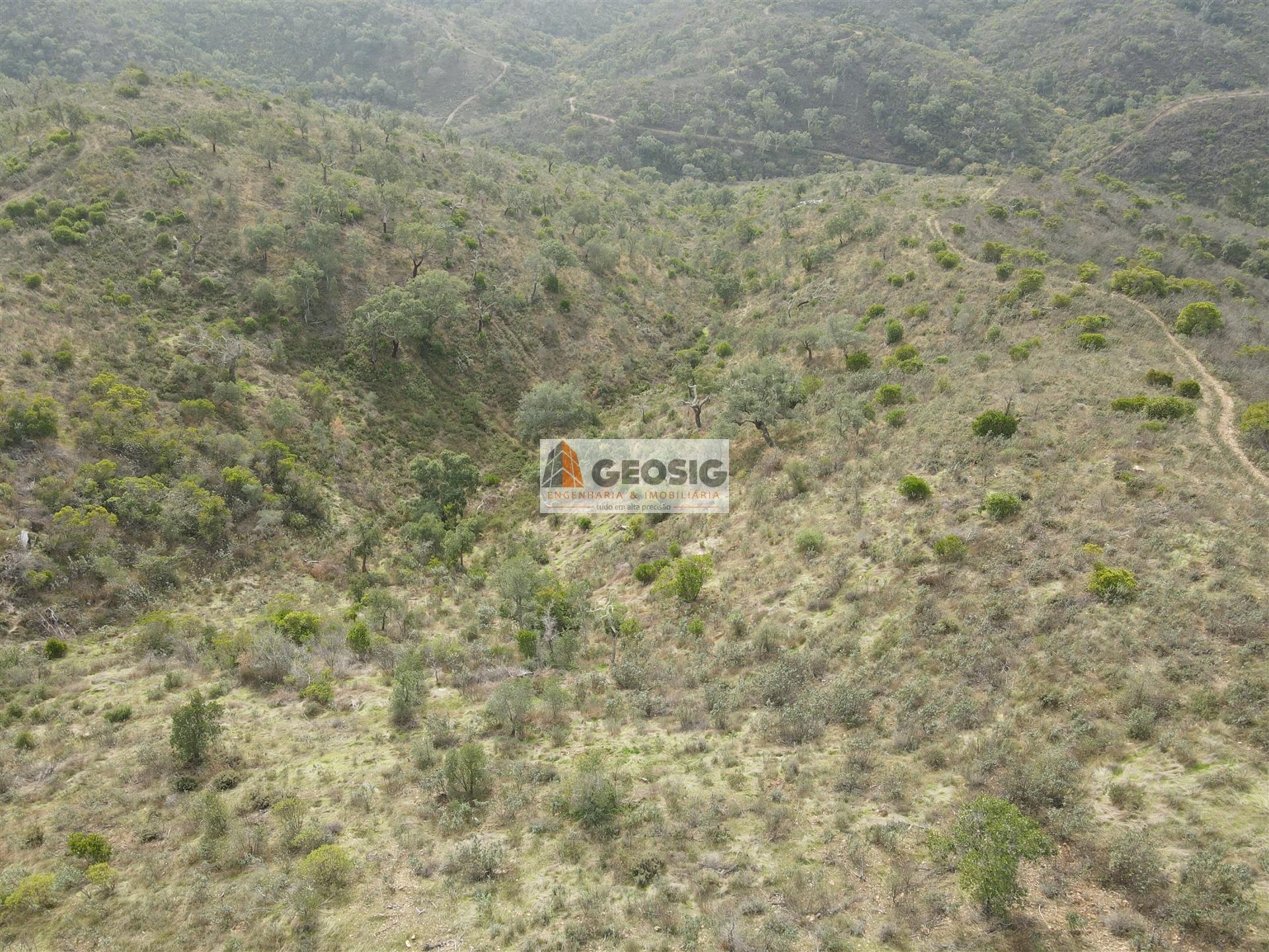 Terreno Rústico  Venda em São Barnabé,Almodôvar