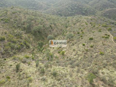 Terreno Rústico  Venda em São Barnabé,Almodôvar