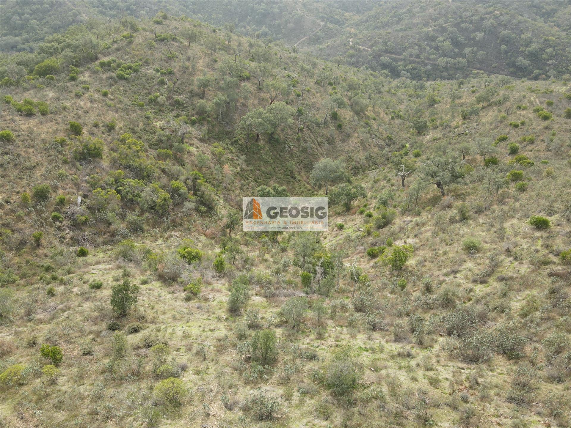 Terreno Rústico  Venda em São Barnabé,Almodôvar