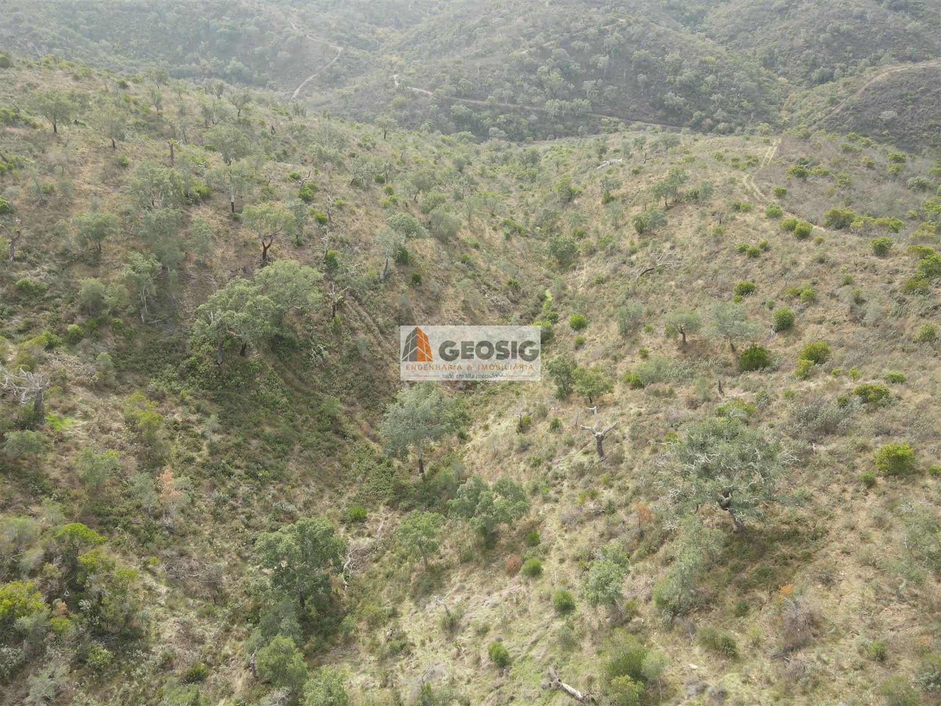Terreno Rústico  Venda em São Barnabé,Almodôvar