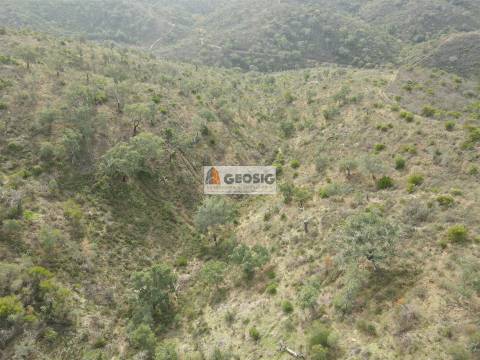 Terreno Rústico  Venda em São Barnabé,Almodôvar