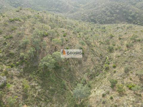 Terreno Rústico  Venda em São Barnabé,Almodôvar
