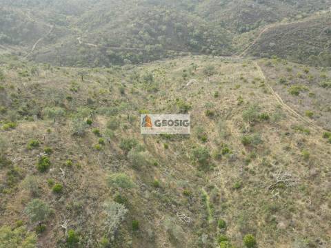 Terreno Rústico  Venda em São Barnabé,Almodôvar