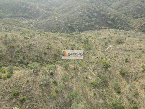 Terreno Rústico  Venda em São Barnabé,Almodôvar