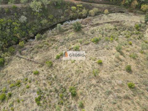 Terreno Rústico  Venda em São Barnabé,Almodôvar