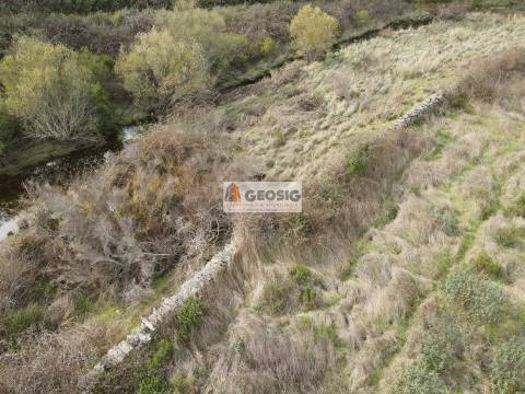 Terreno Rústico  Venda em São Barnabé,Almodôvar