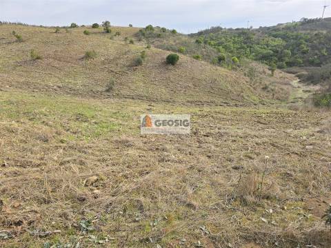 Terreno Rústico  Venda em São Barnabé,Almodôvar