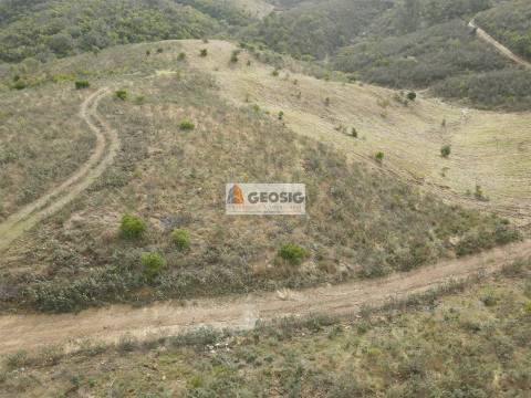 Terreno Rústico  Venda em São Barnabé,Almodôvar