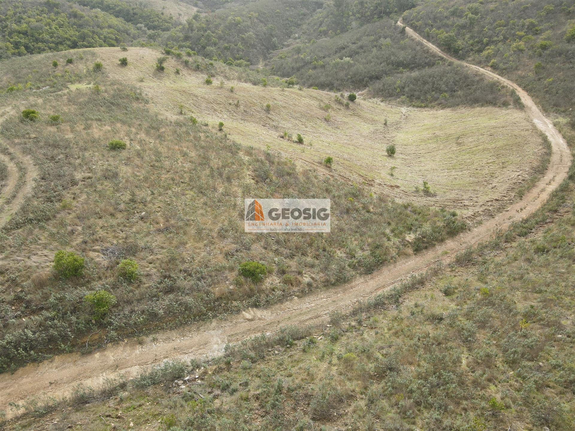 Terreno Rústico  Venda em São Barnabé,Almodôvar