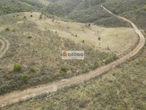 Terreno Rústico  Venda em São Barnabé,Almodôvar