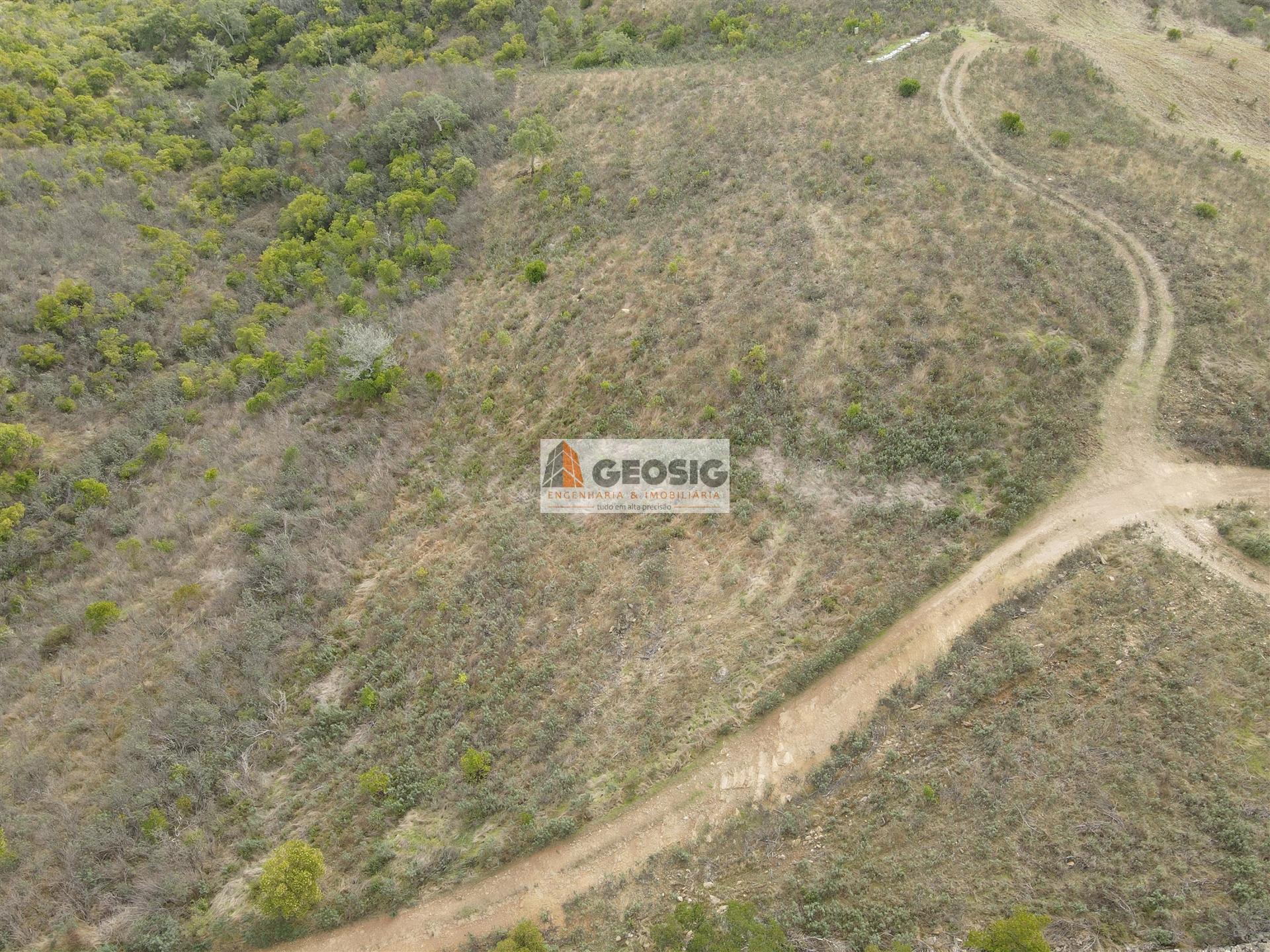 Terreno Rústico  Venda em São Barnabé,Almodôvar