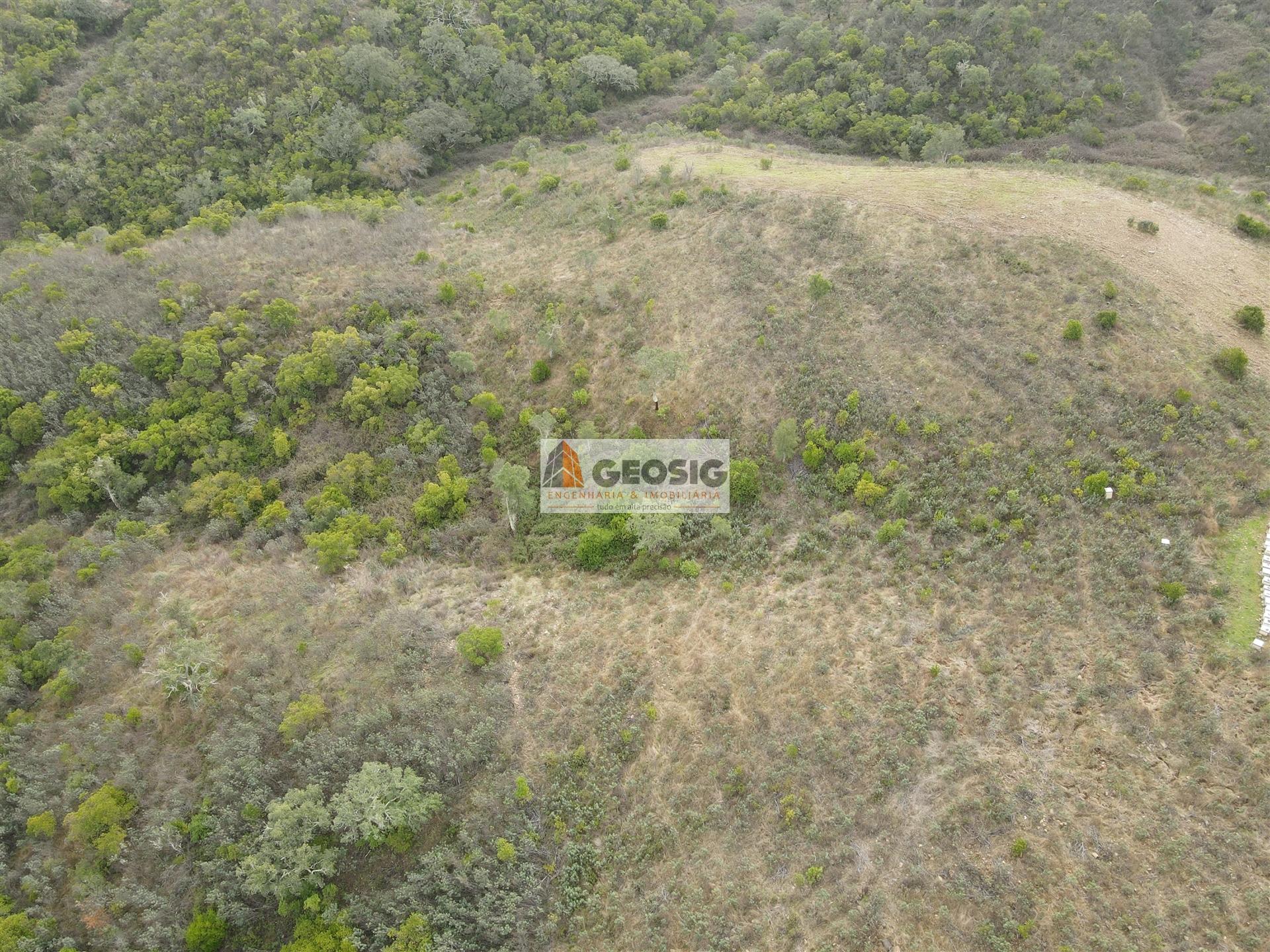 Terreno Rústico  Venda em São Barnabé,Almodôvar