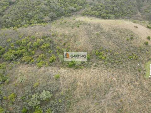Terreno Rústico  Venda em São Barnabé,Almodôvar