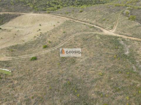 Terreno Rústico  Venda em São Barnabé,Almodôvar