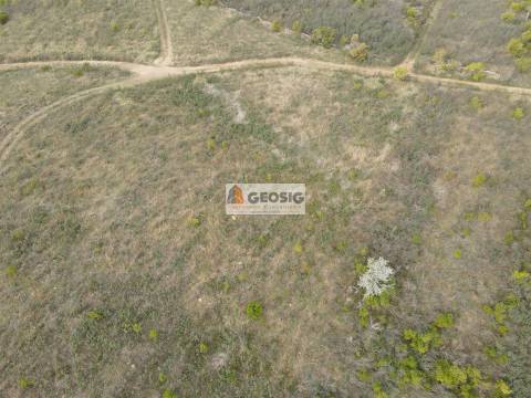 Terreno Rústico  Venda em São Barnabé,Almodôvar