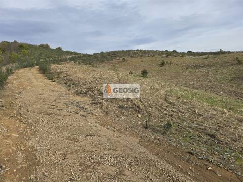 Terreno Rústico  Venda em São Barnabé,Almodôvar
