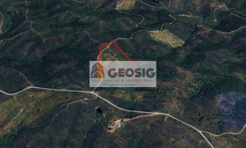 Terreno Rústico  Venda em São Barnabé,Almodôvar