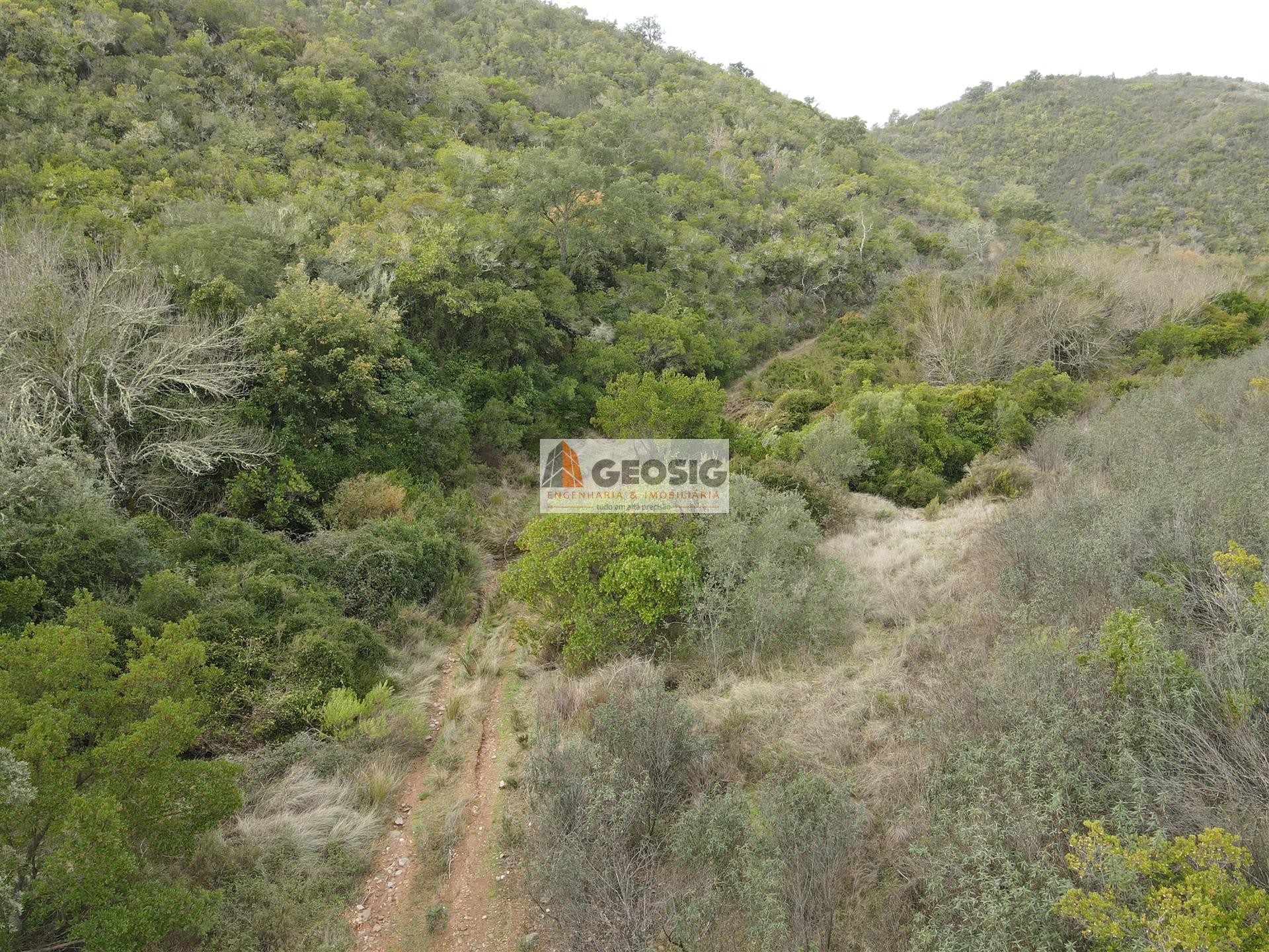 Terreno Rústico  Venda em São Barnabé,Almodôvar