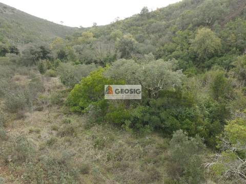 Terreno Rústico  Venda em São Barnabé,Almodôvar