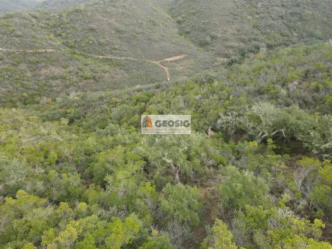 Terreno Rústico  Venda em São Barnabé,Almodôvar