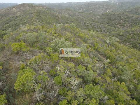 Terreno Rústico  Venda em São Barnabé,Almodôvar