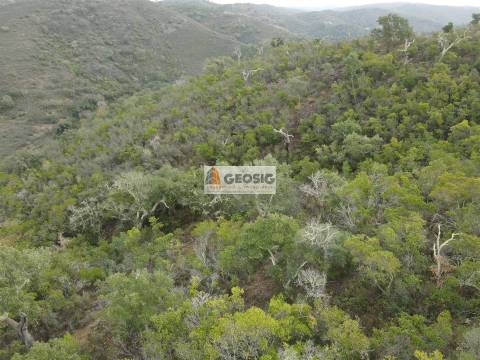 Terreno Rústico  Venda em São Barnabé,Almodôvar