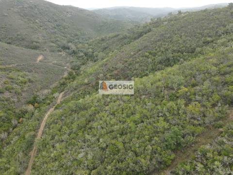 Terreno Rústico  Venda em São Barnabé,Almodôvar