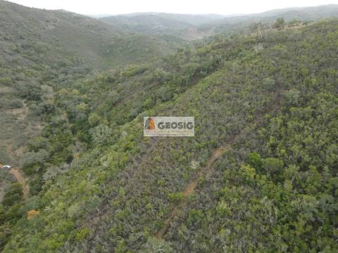 Terreno Rústico  Venda em São Barnabé,Almodôvar