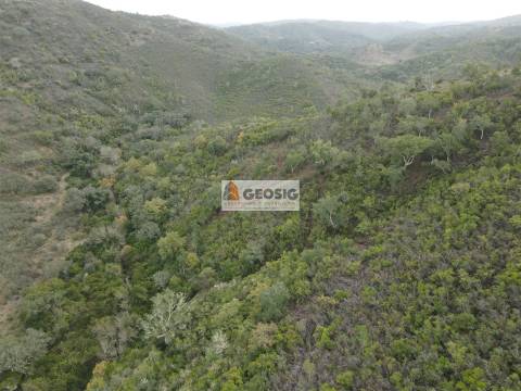 Terreno Rústico  Venda em São Barnabé,Almodôvar